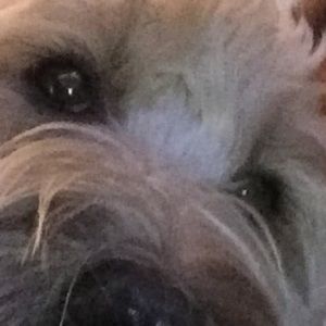 Meet your Posher, Max